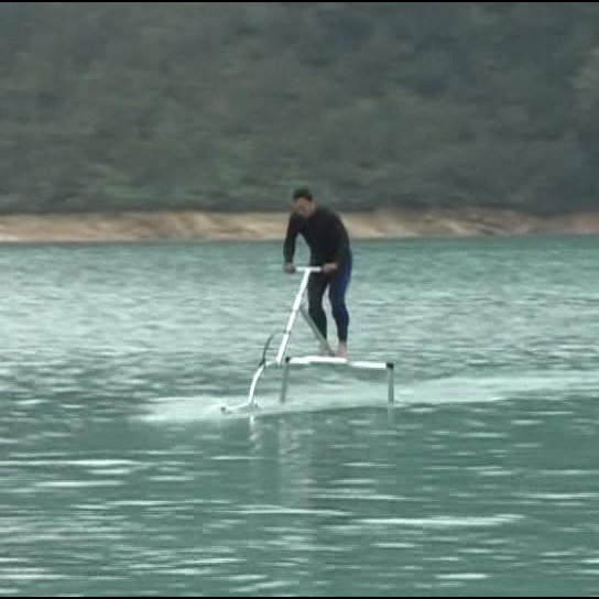 水上 自転車 通販