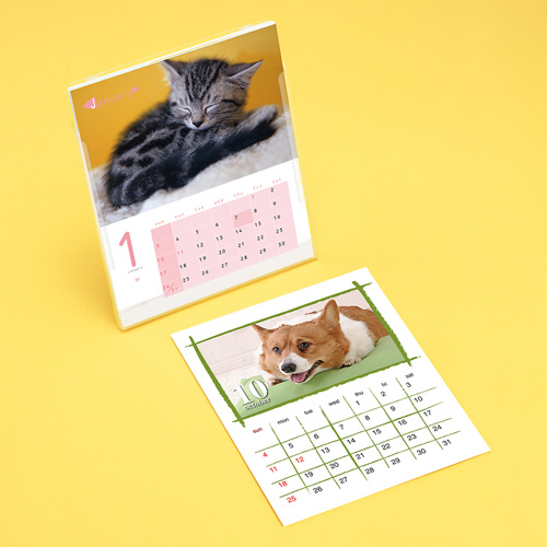 手作りキットの通販 価格比較 価格 Com