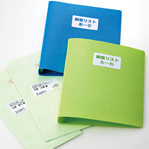 マルチラベル(21面・四辺余白付・増量タイプ・100シート) LB-EM16N-1 サンワサプライ