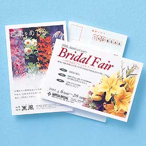 レーザーハガキ