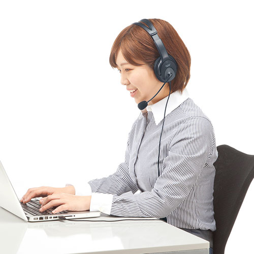 サンワサプライ ヘッドセット Usb接続 両耳 手元スイッチつき ブラック Zoom Skype Teams Mm Hsusb17bk 激安通販のイーサプライ