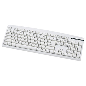 キーボード(有線・PS/2・英語・104・スタンダード・メンブレン・テンキーあり・アイボリー) SKB-E1PN サンワサプライ