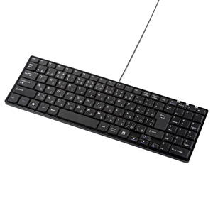 コンパクトキーボード(ブラック・テンキー付) SKB-SL17BKN サンワサプライ