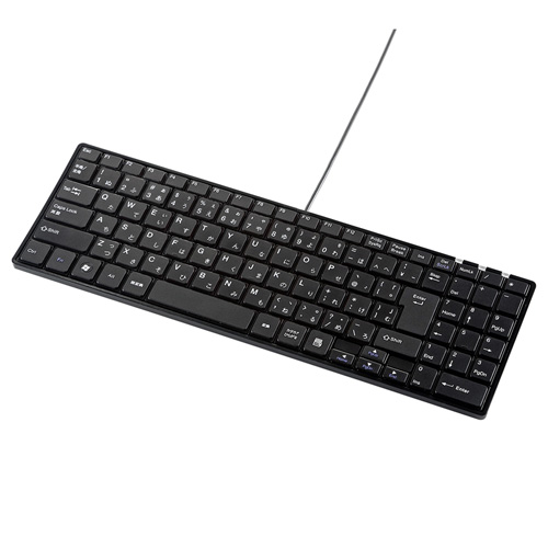 コンパクトキーボード(有線・ブラック・パソコン・USB・テンキーあり・パンダグラフ・スリム・静音) SKB-SL19BK サンワサプライ