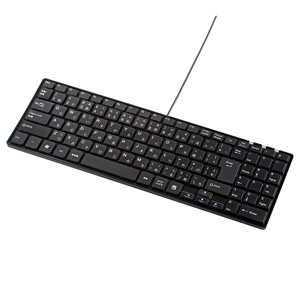 コンパクトキーボード(有線・ブラック・パソコン・USB・テンキーあり・パンダグラフ・スリム・静音) SKB-SL19BK サンワサプライ
