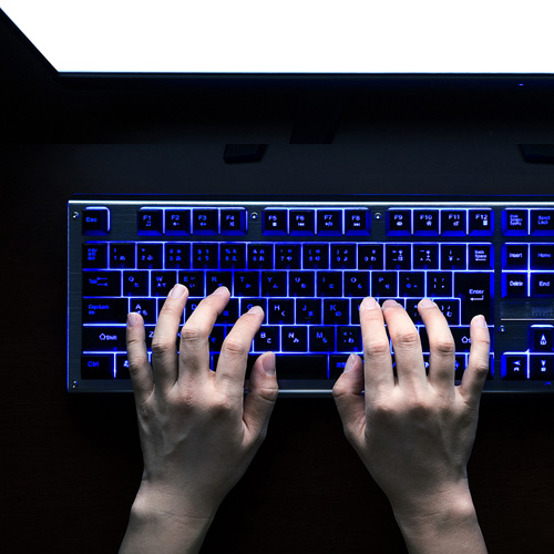 バックライトキーボード Usb 日本語109a配列 Skb War3 激安通販のイーサプライ