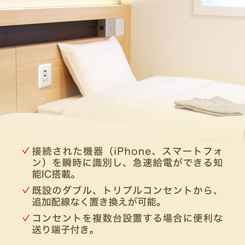 埋込usbコンセント Ac付き 給電用 5v 2 4a グレー Tap Kjusb2ac1gy 激安通販のイーサプライ