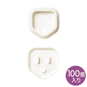 100個入り
