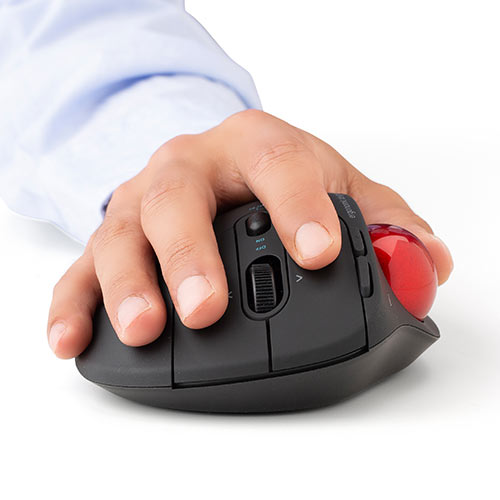 大型マウス（110㎜～）